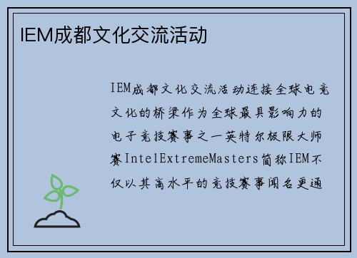 IEM成都文化交流活动